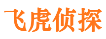 海南区调查事务所